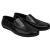 VIRTUOSO ALLIGATOR -Black